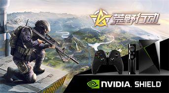 荒野行动最新爆料殿堂视频,殿堂视频揭秘神秘内容