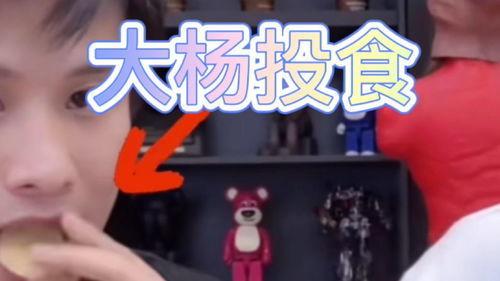 小杨哥和小黄最新爆料,揭秘娱乐圈惊人内幕